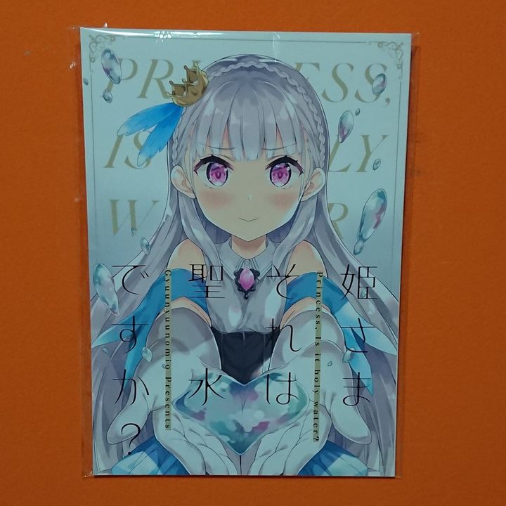 Doujinshi Hime sama Sore Wa Seisui Desu Ka Kyou Hobby Shop