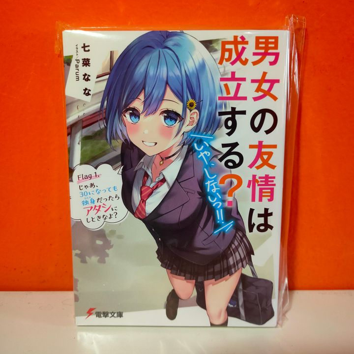 Kadokawa Dengeki Bunko Light Novel Danjo no Yuujou wa Seiritsu suru ...